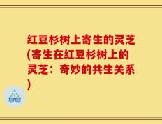 红豆杉树上寄生的灵芝(寄生在红豆杉树上的灵芝：奇妙的共生关系)