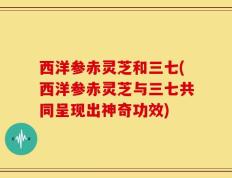 西洋参赤灵芝和三七(西洋参赤灵芝与三七共同呈现出神奇功效)