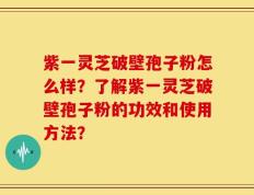 紫一灵芝破壁孢子粉怎么样？了解紫一灵芝破壁孢子粉的功效和使用方法？