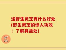 送野生灵芝有什么好处(野生灵芝的惊人功效：了解其益处)