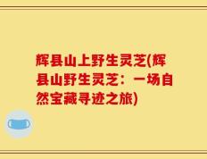 辉县山上野生灵芝(辉县山野生灵芝：一场自然宝藏寻迹之旅)