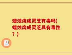 蜡烛烧成灵芝有毒吗(蜡烛烧成灵芝具有毒性？)