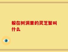 躲在树洞里的灵芝蟹叫什么