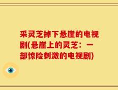 采灵芝掉下悬崖的电视剧(悬崖上的灵芝：一部惊险刺激的电视剧)