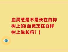 血灵芝是不是长在白桦树上的(血灵芝在白桦树上生长吗？)