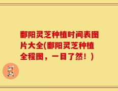 鄱阳灵芝种植时间表图片大全(鄱阳灵芝种植全程图，一目了然！)
