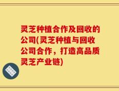 灵芝种植合作及回收的公司(灵芝种植与回收公司合作，打造高品质灵芝产业链)
