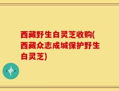 西藏野生白灵芝收购(西藏众志成城保护野生白灵芝)