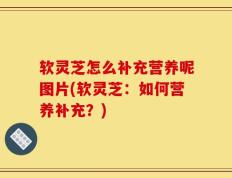 软灵芝怎么补充营养呢图片(软灵芝：如何营养补充？)