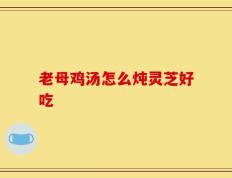 老母鸡汤怎么炖灵芝好吃