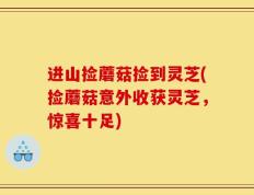 进山捡蘑菇捡到灵芝(捡蘑菇意外收获灵芝，惊喜十足)