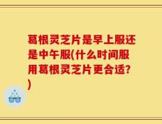 葛根灵芝片是早上服还是中午服(什么时间服用葛根灵芝片更合适？)