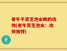 老牛干灵芝泡水喝的功效(老牛灵芝泡水：功效独特)
