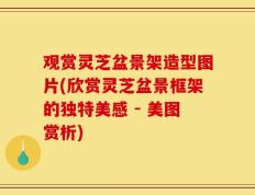 观赏灵芝盆景架造型图片(欣赏灵芝盆景框架的独特美感 - 美图赏析)