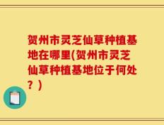 贺州市灵芝仙草种植基地在哪里(贺州市灵芝仙草种植基地位于何处？)