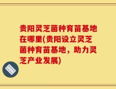 贵阳灵芝菌种育苗基地在哪里(贵阳设立灵芝菌种育苗基地，助力灵芝产业发展)