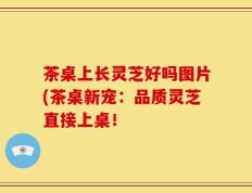 茶桌上长灵芝好吗图片(茶桌新宠：品质灵芝直接上桌！