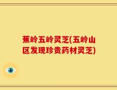 蕉岭五岭灵芝(五岭山区发现珍贵药材灵芝)