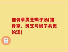 猫骨草灵芝蝎子汤(猫骨草、灵芝与蝎子共煲的汤)