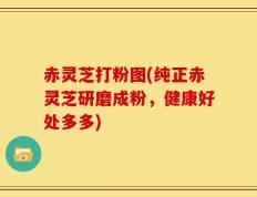 赤灵芝打粉图(纯正赤灵芝研磨成粉，健康好处多多)