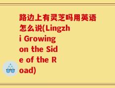 路边上有灵芝吗用英语怎么说(Lingzhi Growing on the Side of the Road)