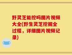 野灵芝能挖吗图片视频大全(野生灵芝挖掘全过程，详细图片视频记录)