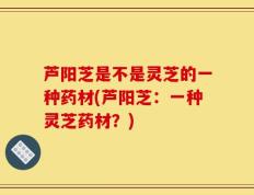 芦阳芝是不是灵芝的一种药材(芦阳芝：一种灵芝药材？)