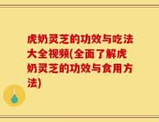 虎奶灵芝的功效与吃法大全视频(全面了解虎奶灵芝的功效与食用方法)