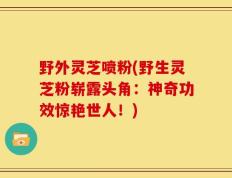 野外灵芝喷粉(野生灵芝粉崭露头角：神奇功效惊艳世人！)