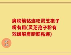 肩膀筋粘连吃灵芝孢子粉有用(灵芝孢子粉有效缓解肩膀筋粘连)