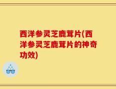 西洋参灵芝鹿茸片(西洋参灵芝鹿茸片的神奇功效)