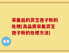 采集后的灵芝孢子粉的处理(高品质采集灵芝孢子粉的处理方法)