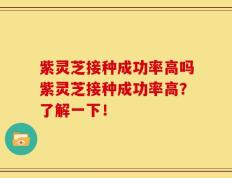 紫灵芝接种成功率高吗紫灵芝接种成功率高？了解一下！