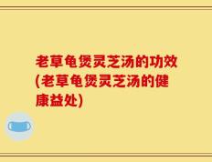 老草龟煲灵芝汤的功效(老草龟煲灵芝汤的健康益处)