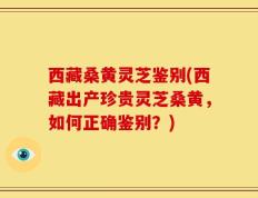 西藏桑黄灵芝鉴别(西藏出产珍贵灵芝桑黄，如何正确鉴别？)