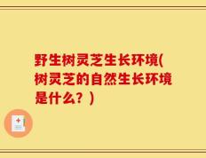 野生树灵芝生长环境(树灵芝的自然生长环境是什么？)
