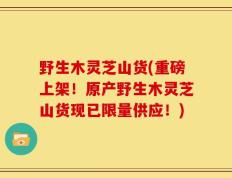 野生木灵芝山货(重磅上架！原产野生木灵芝山货现已限量供应！)