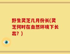 野生灵芝几月份长(灵芝何时在自然环境下长出？)