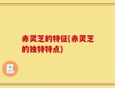 赤灵芝的特征(赤灵芝的独特特点)