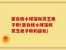 蛋白核小球藻和灵芝孢子粉(蛋白核小球藻和灵芝孢子粉的益处)