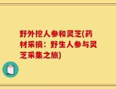 野外挖人参和灵芝(药材采摘：野生人参与灵芝采集之旅)