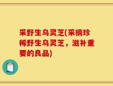 采野生乌灵芝(采摘珍稀野生乌灵芝，滋补重要的良品)