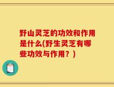 野山灵芝的功效和作用是什么(野生灵芝有哪些功效与作用？)