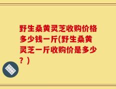 野生桑黄灵芝收购价格多少钱一斤(野生桑黄灵芝一斤收购价是多少？)
