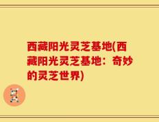 西藏阳光灵芝基地(西藏阳光灵芝基地：奇妙的灵芝世界)