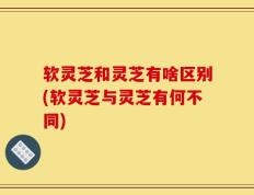 软灵芝和灵芝有啥区别(软灵芝与灵芝有何不同)