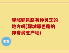 郓城郓邑路有种灵芝的地方吗(郓城郓邑路的神奇灵芝产地)