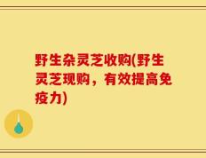 野生杂灵芝收购(野生灵芝现购，有效提高免疫力)