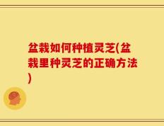 盆栽如何种植灵芝(盆栽里种灵芝的正确方法)