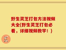 野生灵芝打包方法视频大全(野生灵芝打包必看，详细视频教学！)